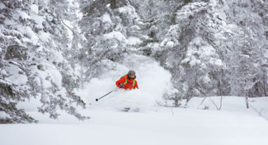 Skier skiing off-piste in deep powder