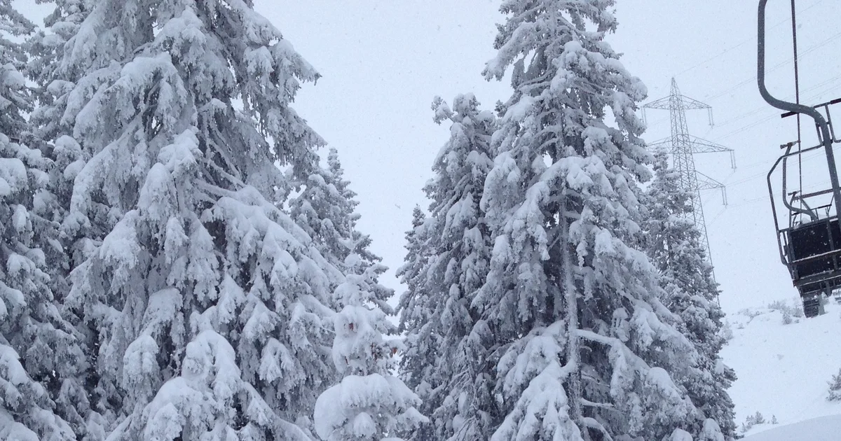Snow reports and webcams - VIP SKI