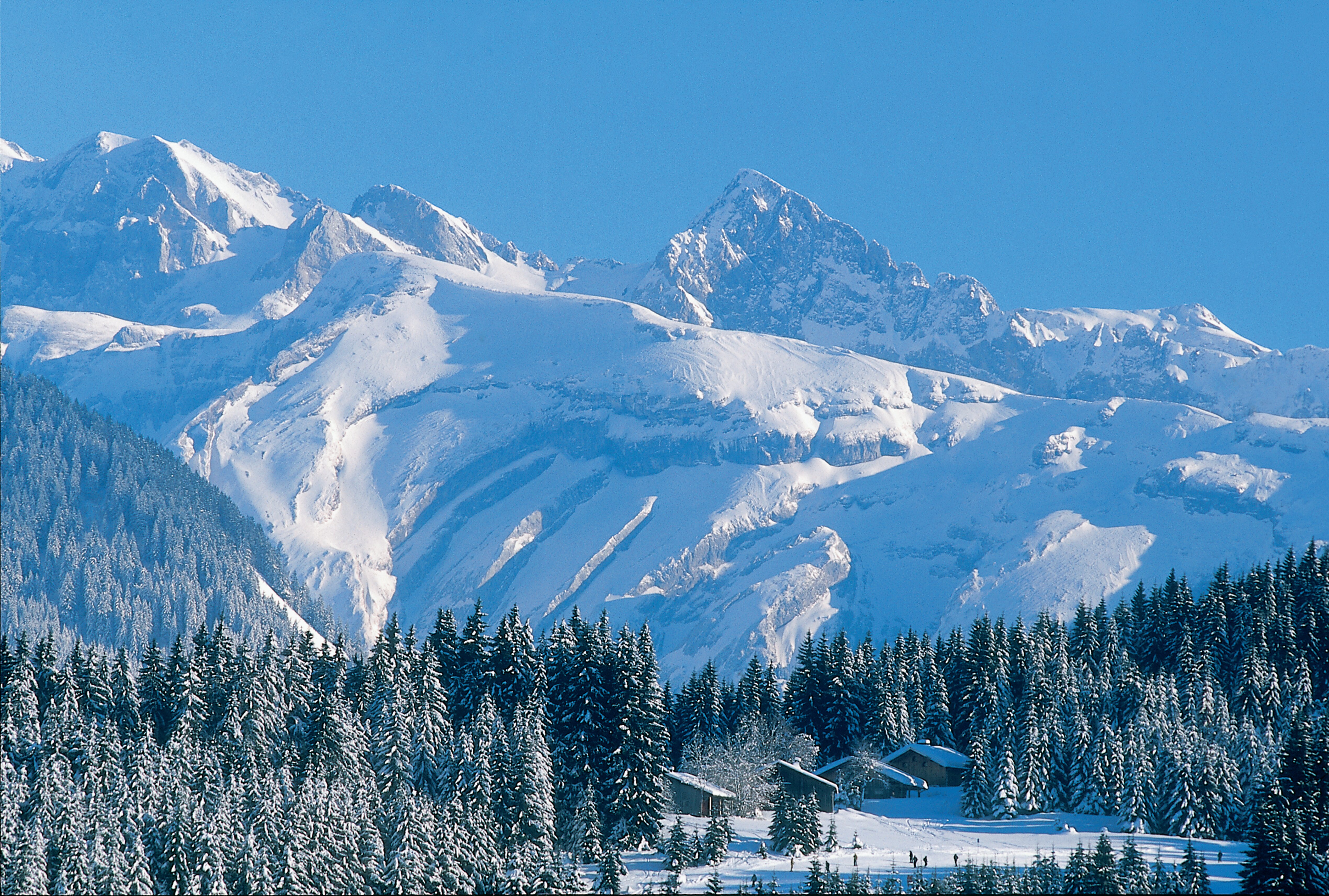 Snowy mountains and trees in Morzine