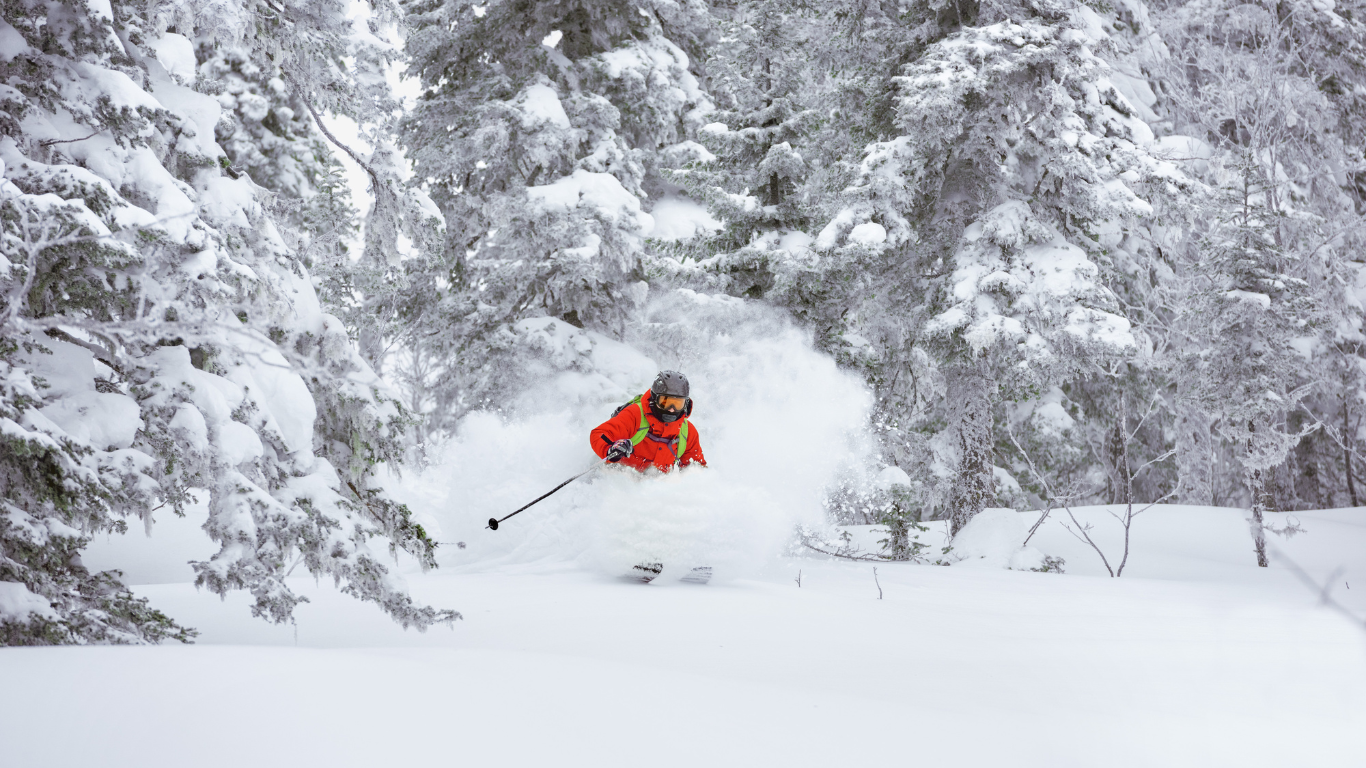 Skier skiing off-piste in deep powder