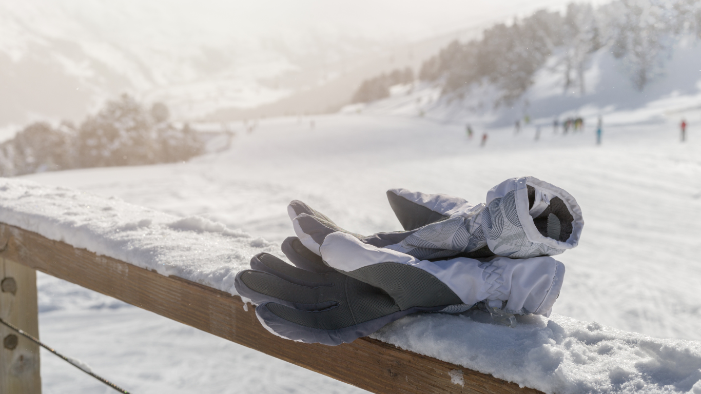 Ski gloves