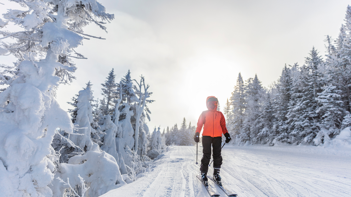 Skier skiing along tree-lined track
