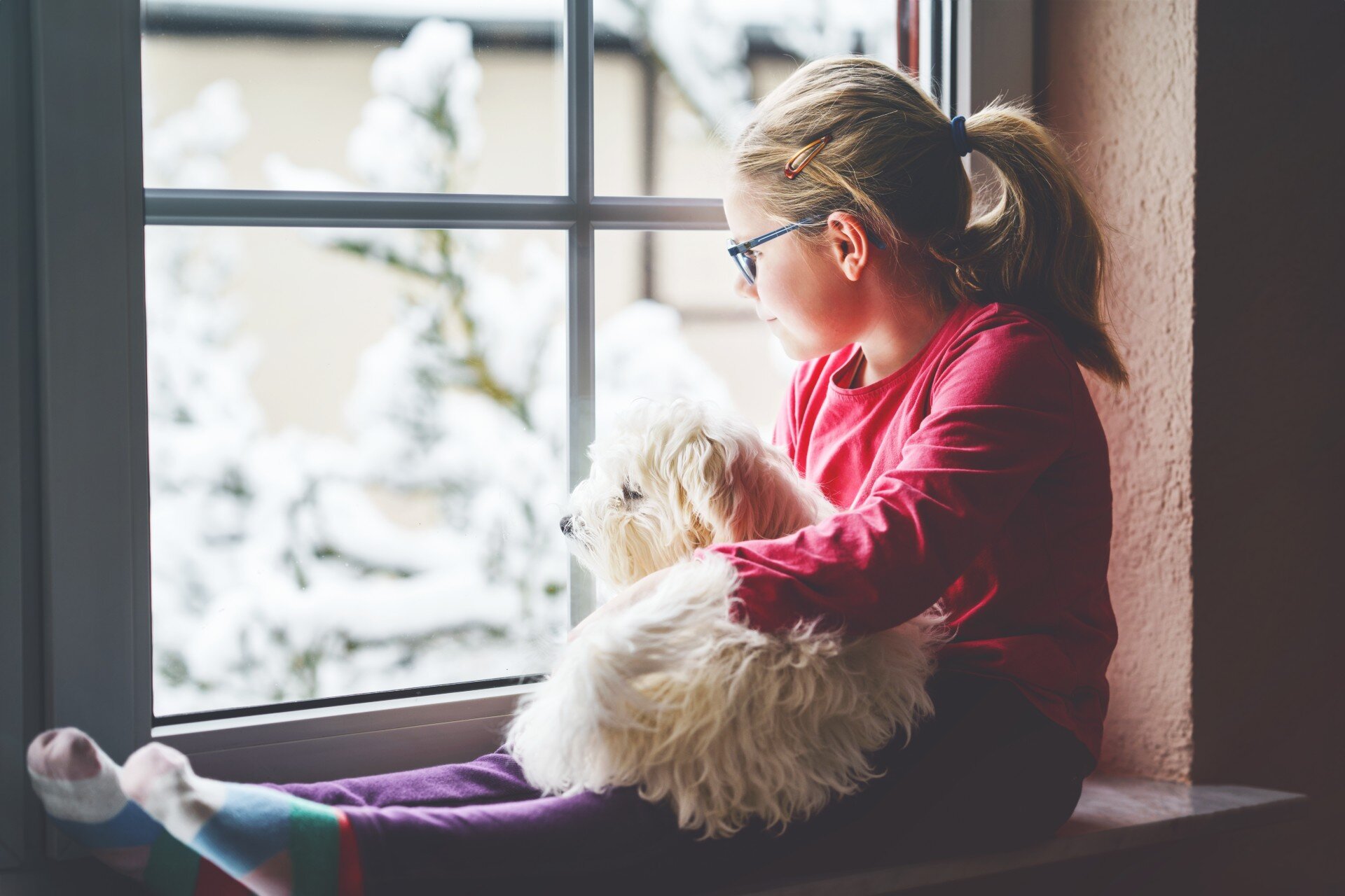 Girl sat in a window with a small dog on her lap
