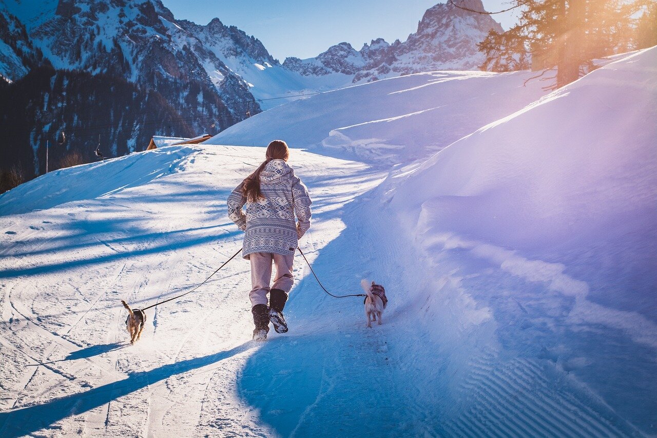 lady walking two dogs in snowy mountains