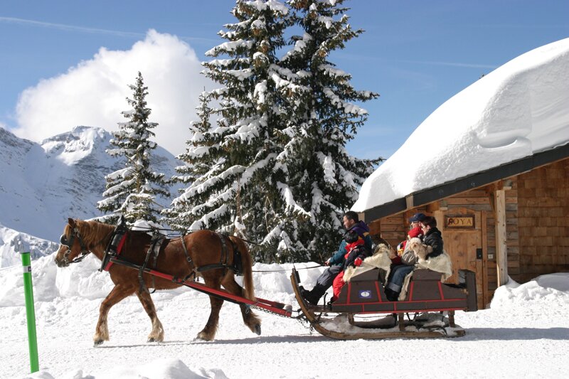 Horse pulling sleigh in snowy Avoriaz