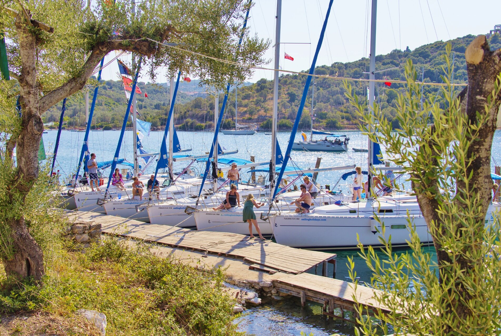 learn to sail
